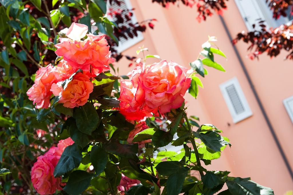 Hotel La Toscana Arezzo Exteriér fotografie